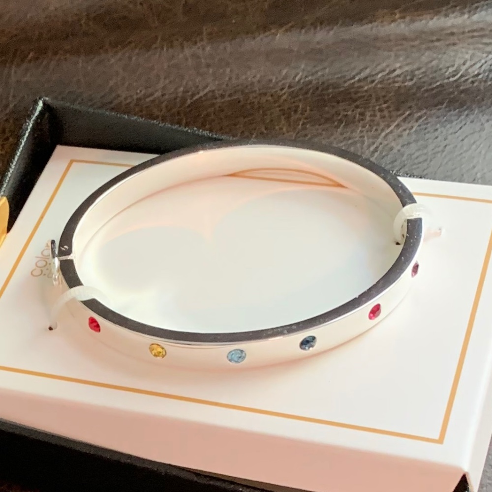 Color Street Bangle Bracelet